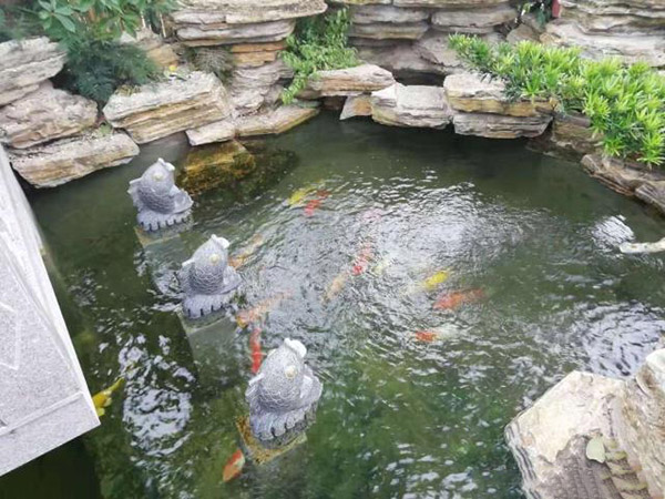 別墅花園設(shè)計(jì)里添加個(gè)魚(yú)池設(shè)計(jì)怎么樣？